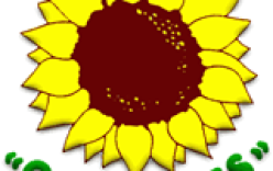 “OS VERDES” APRESENTAM INICIATIVA PARA CRIAÇÃO DE REDE NACIONAL DE CICLOVIAS “OS VERDES” APRESENTAM INICIATIVA PARA CRIAÇÃO DE REDE NACIONAL DE CICLOVIAS