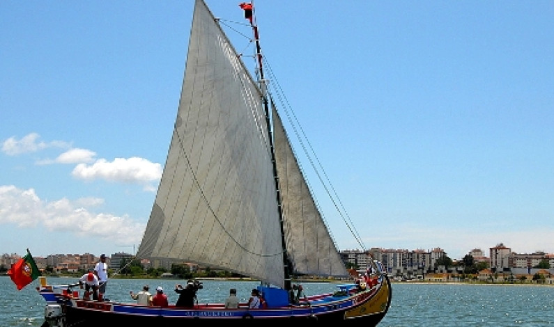 Varino Pestarola a navegar até Setembro! Varino Pestarola a navegar até Setembro!