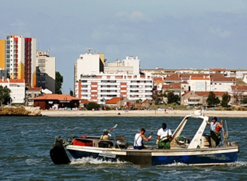 HÁ PESCADORES NO BARREIRO! HÁ PESCADORES NO BARREIRO!