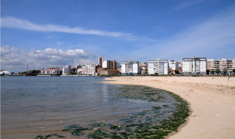 O Rio e Alburrica O Rio e Alburrica