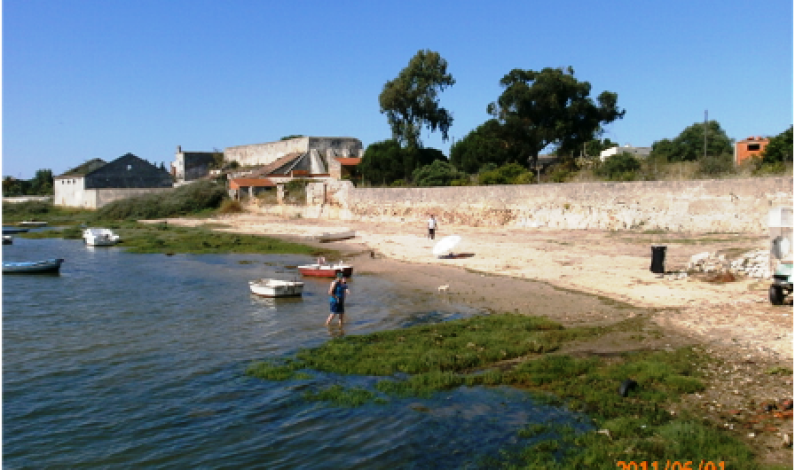 Praia de Palhais – Persistência dá frutos Praia de Palhais – Persistência dá frutos