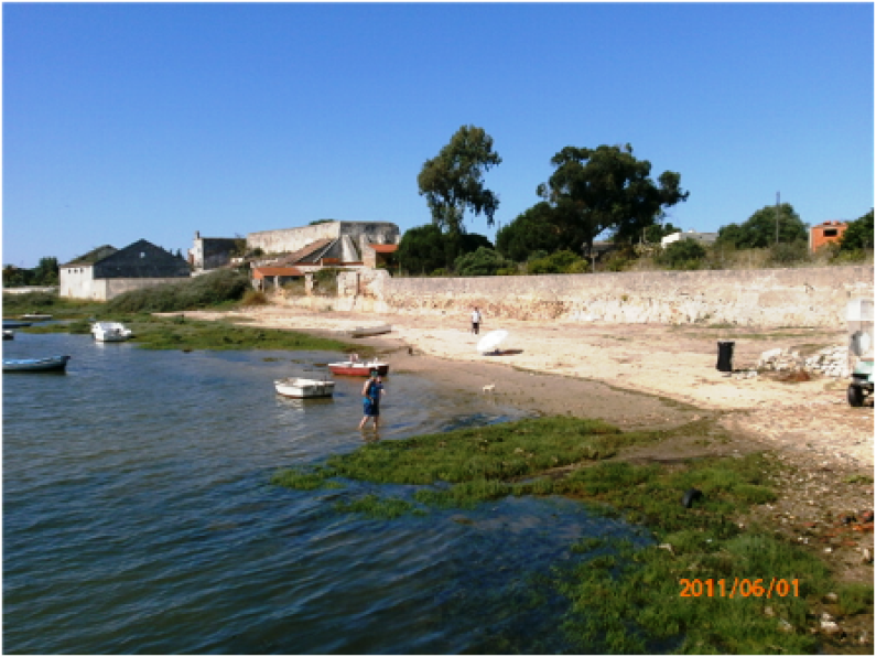 Praia de Palhais – Persistência dá frutos Praia de Palhais – Persistência dá frutos