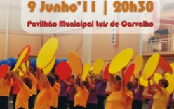 VIII Festival de Ginástica do Barreiro VIII Festival de Ginástica do Barreiro
