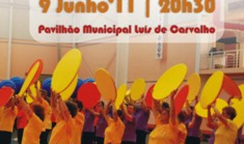 VIII Festival de Ginástica do Barreiro VIII Festival de Ginástica do Barreiro