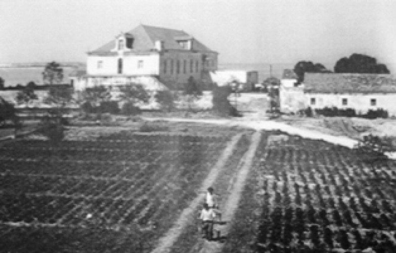 Em 1852 o Barreiro produzia o vinho mais procurado no mercado. O “bastardo do Barreiro” Em 1852 o Barreiro produzia o vinho mais procurado no mercado. O “bastardo do Barreiro”