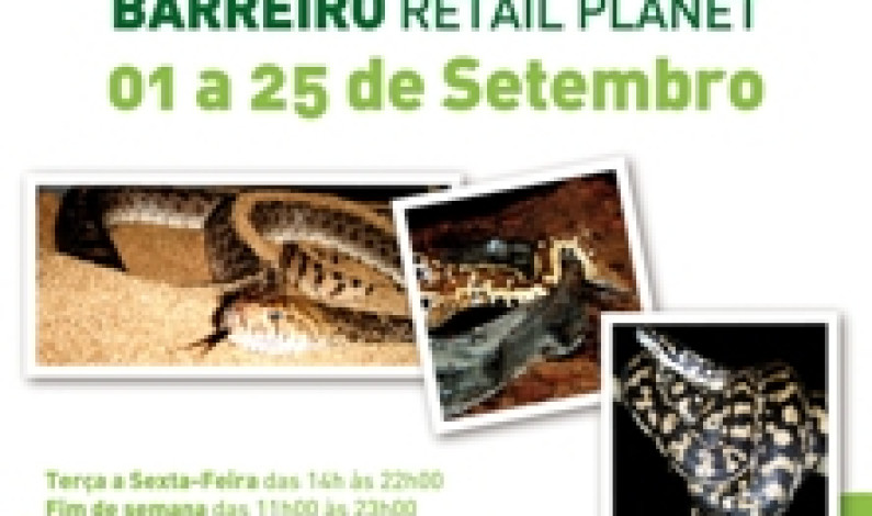 O RETAIL PLANET BARREIRO acolhe de 1 a 25 de Setembro a Exposição de Répteis da ExpoAnimalia. O RETAIL PLANET BARREIRO acolhe de 1 a 25 de Setembro a Exposição de Répteis da ExpoAnimalia.
