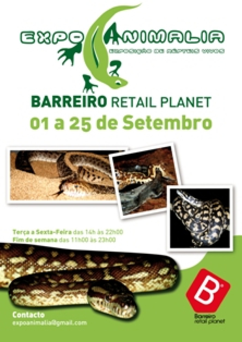 O RETAIL PLANET BARREIRO acolhe de 1 a 25 de Setembro a Exposição de Répteis da ExpoAnimalia. O RETAIL PLANET BARREIRO acolhe de 1 a 25 de Setembro a Exposição de Répteis da ExpoAnimalia.
