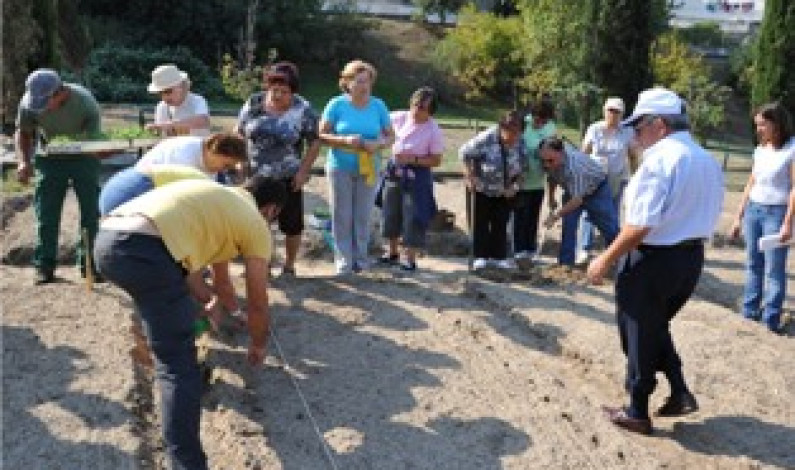 Horta Pedagógica Sénior no Parque da Cidade UTIB lança nova disciplina Horta Pedagógica Sénior no Parque da Cidade UTIB lança nova disciplina