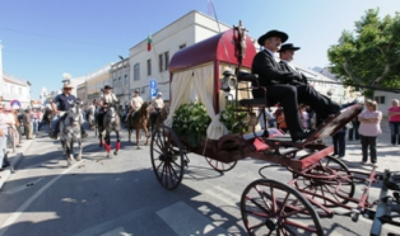 Romaria a Cavalo Moita – Viana do Alentejo distinguida com prémio “Mais Tradição” Romaria a Cavalo Moita – Viana do Alentejo distinguida com prémio “Mais Tradição”