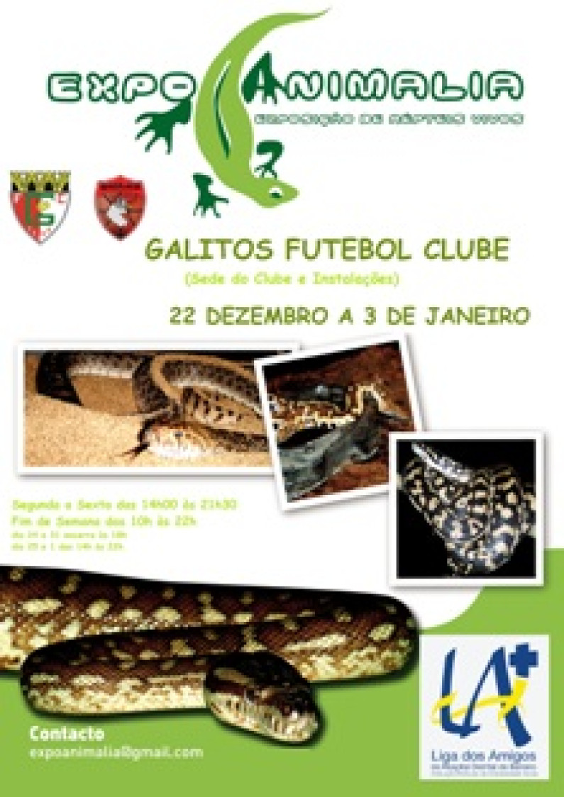 O GALITOS FUTEBOL CLUBE acolhe de 22 de Dezembro a 3 de Janeiro a Exposição de Répteis da ExpoAnimalia. O GALITOS FUTEBOL CLUBE acolhe de 22 de Dezembro a 3 de Janeiro a Exposição de Répteis da ExpoAnimalia.