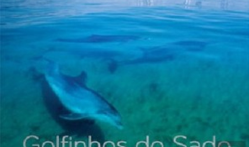 Livro “Golfinhos do Sado” apresentado na Biblioteca da Moita Livro “Golfinhos do Sado” apresentado na Biblioteca da Moita