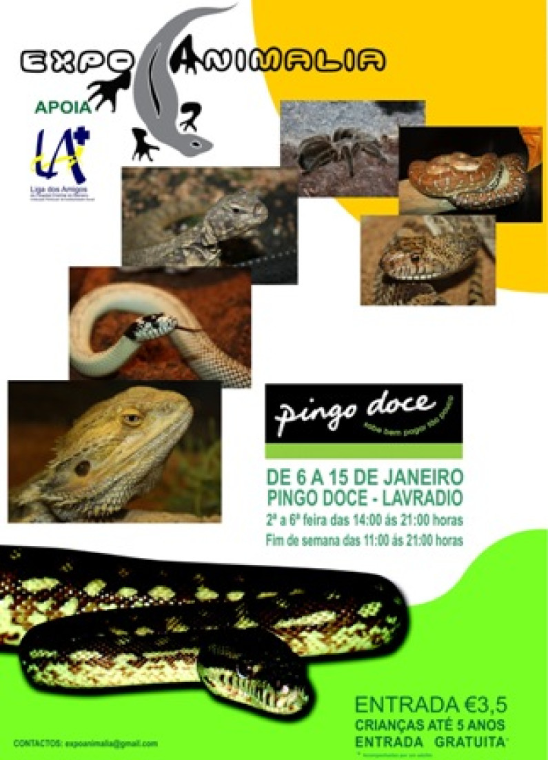 Exposição de Répteis da no Pingo Doce Híper, até dia 15 Janeiro Exposição de Répteis da no Pingo Doce Híper, até dia 15 Janeiro