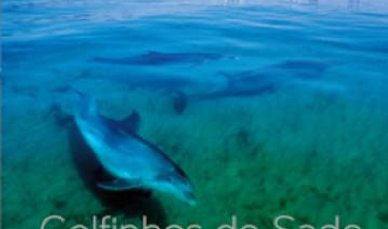 Palestra e apresentação do livro  “Golfinhos do Sado” Palestra e apresentação do livro  “Golfinhos do Sado”