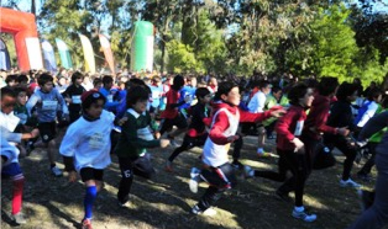 Corta Mato Escolar levou vários milhares à Mata Nacional da Machada onde o desporto, juventude e convívio dominaram Corta Mato Escolar levou vários milhares à Mata Nacional da Machada onde o desporto, juventude e convívio dominaram