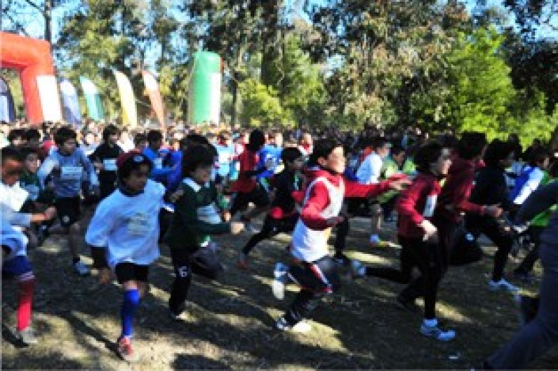 Corta Mato Escolar levou vários milhares à Mata Nacional da Machada onde o desporto, juventude e convívio dominaram Corta Mato Escolar levou vários milhares à Mata Nacional da Machada onde o desporto, juventude e convívio dominaram