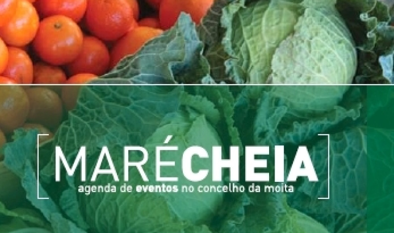 Edição de fevereiro da agenda Maré Cheia Edição de fevereiro da agenda Maré Cheia