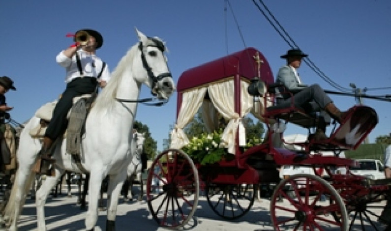 Romaria a Cavalo Moita – Viana do Alentejo: Cavaleiros e cavalos de volta à “Canada Real” Romaria a Cavalo Moita – Viana do Alentejo: Cavaleiros e cavalos de volta à “Canada Real”