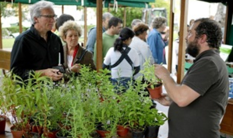 Mostra de Projetos e Produtos Biológicos na Moita Frutas e legumes biológicos em destaque na 8ª Biofesta Mostra de Projetos e Produtos Biológicos na Moita Frutas e legumes biológicos em destaque na 8ª Biofesta