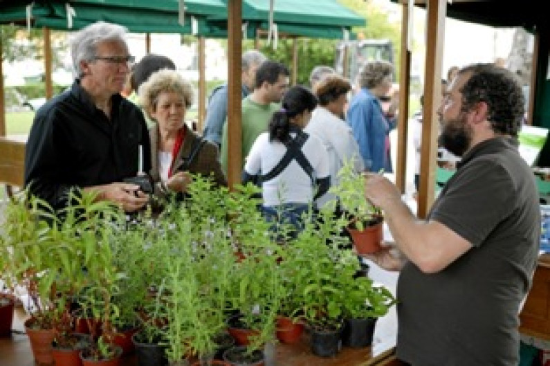 Mostra de Projetos e Produtos Biológicos na Moita Frutas e legumes biológicos em destaque na 8ª Biofesta Mostra de Projetos e Produtos Biológicos na Moita Frutas e legumes biológicos em destaque na 8ª Biofesta