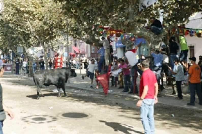 Na Moita Tradicional Feira de Maio está a chegar Na Moita Tradicional Feira de Maio está a chegar