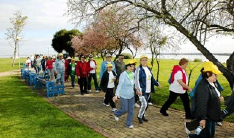 Exercício ao ar livre “Caminhada Ribeirinha Noturna I”  entre Baixa da Banheira e Alhos Vedros Exercício ao ar livre “Caminhada Ribeirinha Noturna I”  entre Baixa da Banheira e Alhos Vedros