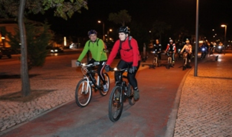 Passeio de bicicleta Pedalar pela natureza na freguesia de Alhos Vedros Passeio de bicicleta Pedalar pela natureza na freguesia de Alhos Vedros
