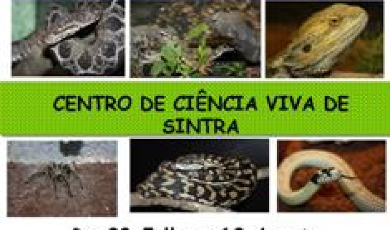 Exposição de Répteis da ExpoAnimalia de 28 de Julho a 12 de Agosto no Centro de Ciência Viva de Sintra Exposição de Répteis da ExpoAnimalia de 28 de Julho a 12 de Agosto no Centro de Ciência Viva de Sintra