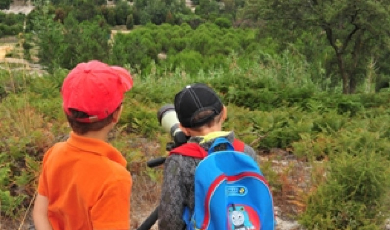 CAMPOS DE FÉRIAS NA MATA DA MACHADA Verão 2012 CAMPOS DE FÉRIAS NA MATA DA MACHADA Verão 2012