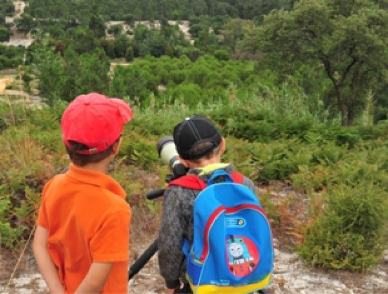 CAMPOS DE FÉRIAS NA MATA DA MACHADA Verão 2012 CAMPOS DE FÉRIAS NA MATA DA MACHADA Verão 2012