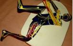 Exposição “Instantâneos” de Paula Celeste Martins de 22 de setembro a 20 outubro na Galeria Municipal de Arte Exposição “Instantâneos” de Paula Celeste Martins de 22 de setembro a 20 outubro na Galeria Municipal de Arte