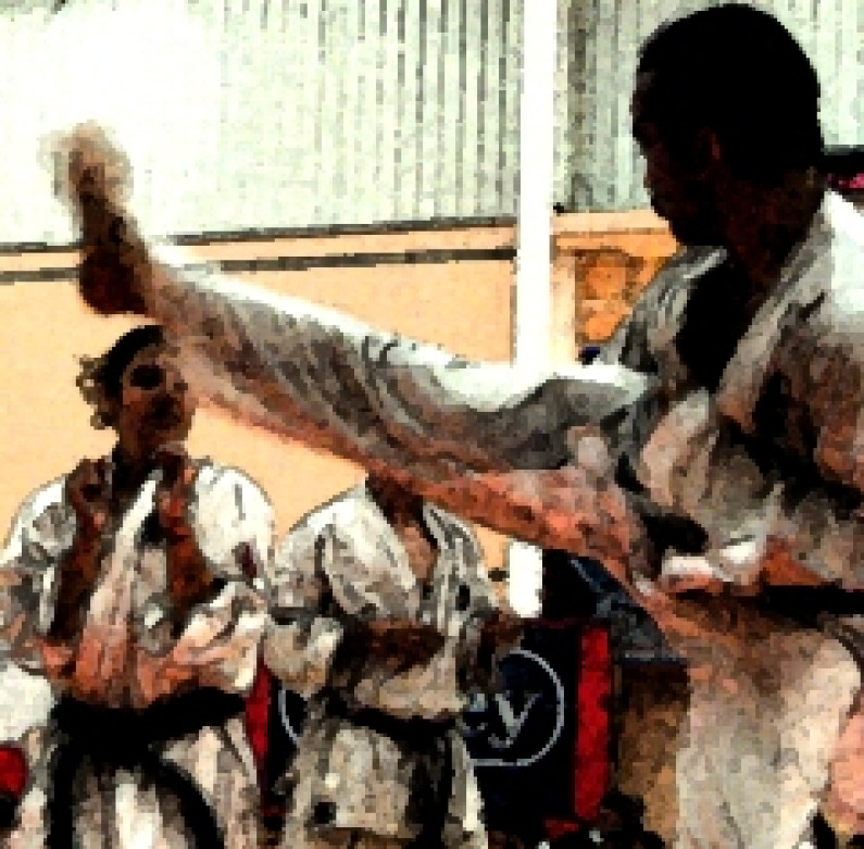 Estágio da Liga Nacional de Karate Portugal na Escola Secundária de Santo António da Charneca Estágio da Liga Nacional de Karate Portugal na Escola Secundária de Santo António da Charneca