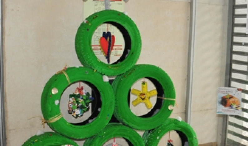 “ÁRVORES DE NATAL ECOLÓGICAS” “ÁRVORES DE NATAL ECOLÓGICAS”