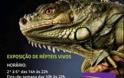 EXPOSIÇÃO DE RÉPTEIS VIVOS  da EXPOANIMALIA no Fórum Barreiro EXPOSIÇÃO DE RÉPTEIS VIVOS  da EXPOANIMALIA no Fórum Barreiro