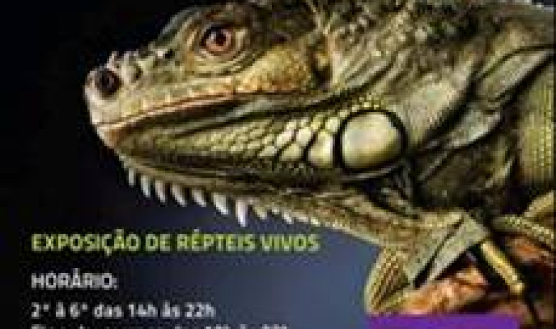 EXPOSIÇÃO DE RÉPTEIS VIVOS  da EXPOANIMALIA no Fórum Barreiro EXPOSIÇÃO DE RÉPTEIS VIVOS  da EXPOANIMALIA no Fórum Barreiro
