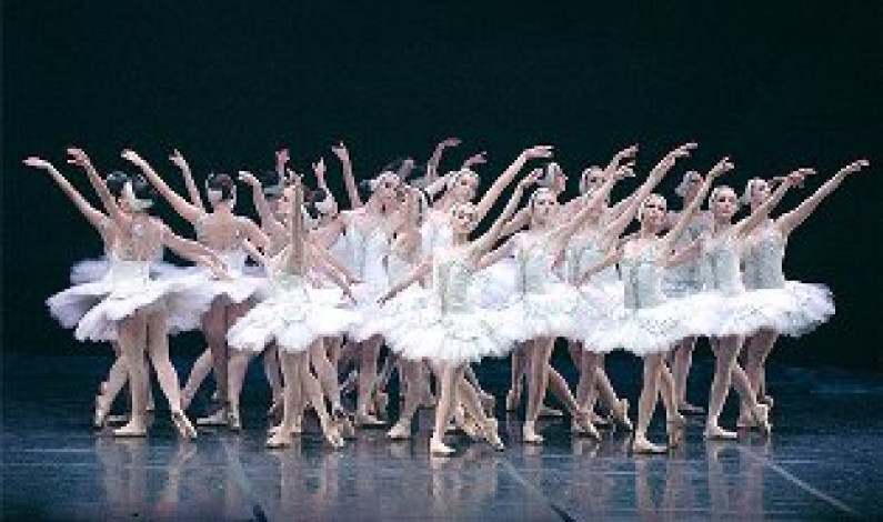 A Freguesia do Barreiro vai realizar uma ida ao Teatro Camões, para assistir ao espectáculo de bailado “O Lago dos Cisnes” A Freguesia do Barreiro vai realizar uma ida ao Teatro Camões, para assistir ao espectáculo de bailado “O Lago dos Cisnes”