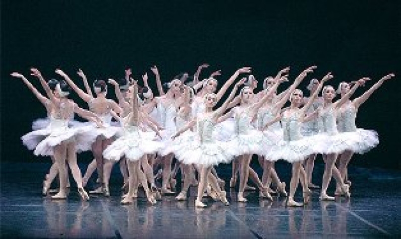 A Freguesia do Barreiro vai realizar uma ida ao Teatro Camões, para assistir ao espectáculo de bailado “O Lago dos Cisnes” A Freguesia do Barreiro vai realizar uma ida ao Teatro Camões, para assistir ao espectáculo de bailado “O Lago dos Cisnes”