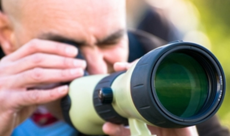 ‘RESERVA O SÁBADO’ Reserva Natural Local do Sapal do Rio Coina e Mata Nacional da Machada ‘RESERVA O SÁBADO’ Reserva Natural Local do Sapal do Rio Coina e Mata Nacional da Machada