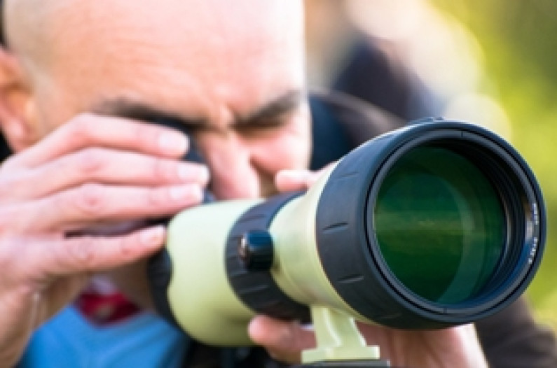 ‘RESERVA O SÁBADO’ Reserva Natural Local do Sapal do Rio Coina e Mata Nacional da Machada ‘RESERVA O SÁBADO’ Reserva Natural Local do Sapal do Rio Coina e Mata Nacional da Machada