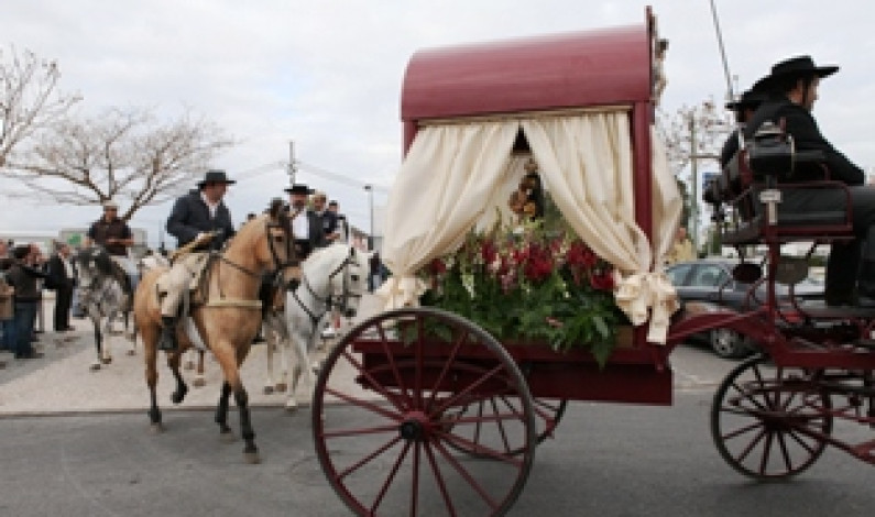 Apresentação da XIII Romaria a Cavalo Moita – Viana do Alentejo Apresentação da XIII Romaria a Cavalo Moita – Viana do Alentejo