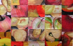 CEA ACOLHE EXPOSIÇÃO “Educação Ambiental: Práticas Educativas em Artes Visuais”  até 17 abril 2013 CEA ACOLHE EXPOSIÇÃO “Educação Ambiental: Práticas Educativas em Artes Visuais”  até 17 abril 2013