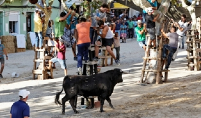 De 23 a 26: Moita recebe a Feira de Maio De 23 a 26: Moita recebe a Feira de Maio