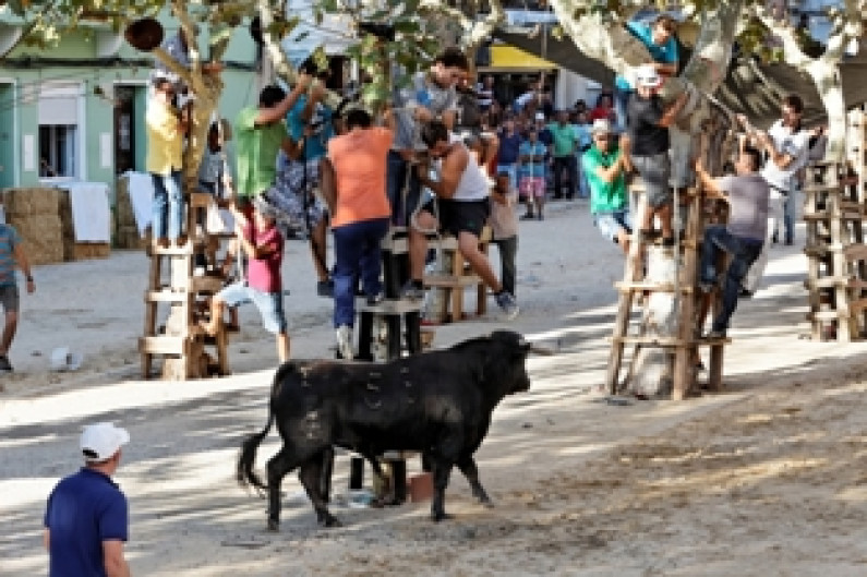 De 23 a 26: Moita recebe a Feira de Maio De 23 a 26: Moita recebe a Feira de Maio