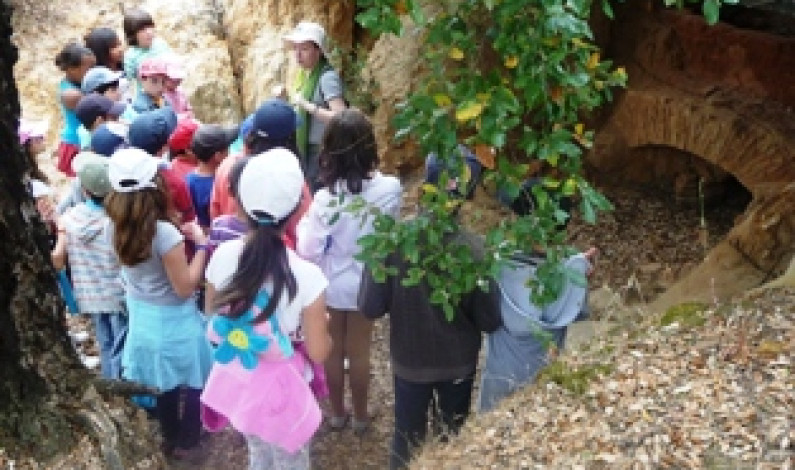 CICAMM – Centro de Interpretação do Campo Arqueológico da Mata da Machada abre ao público com visitas guiadas CICAMM – Centro de Interpretação do Campo Arqueológico da Mata da Machada abre ao público com visitas guiadas