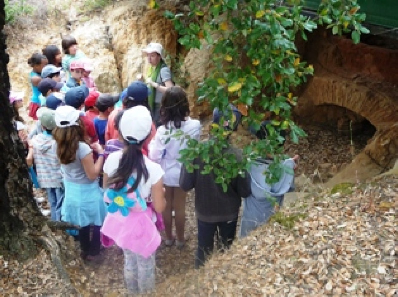 CICAMM – Centro de Interpretação do Campo Arqueológico da Mata da Machada abre ao público com visitas guiadas CICAMM – Centro de Interpretação do Campo Arqueológico da Mata da Machada abre ao público com visitas guiadas