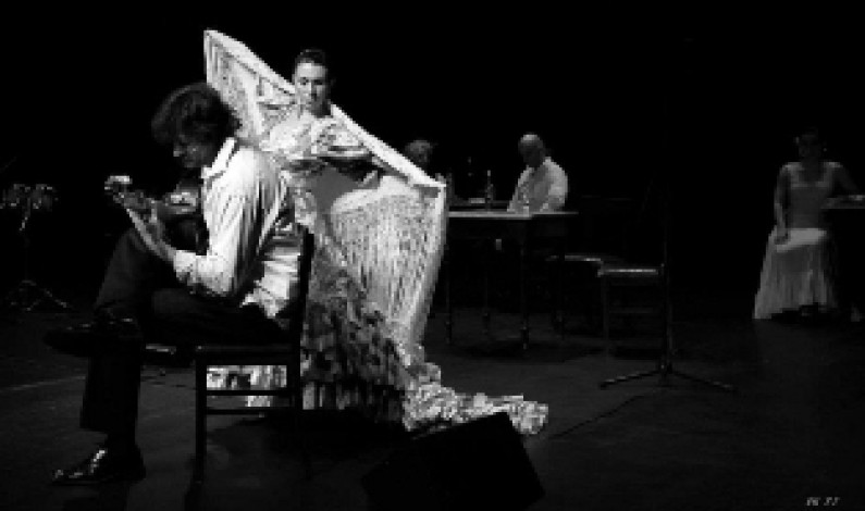 Dança Flamenca em destaque no Fórum Cultural Dança Flamenca em destaque no Fórum Cultural