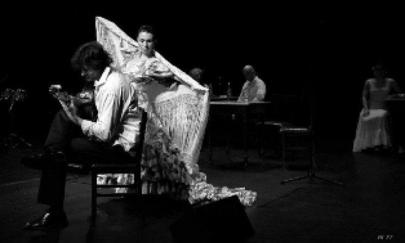 Dança Flamenca em destaque no Fórum Cultural Dança Flamenca em destaque no Fórum Cultural