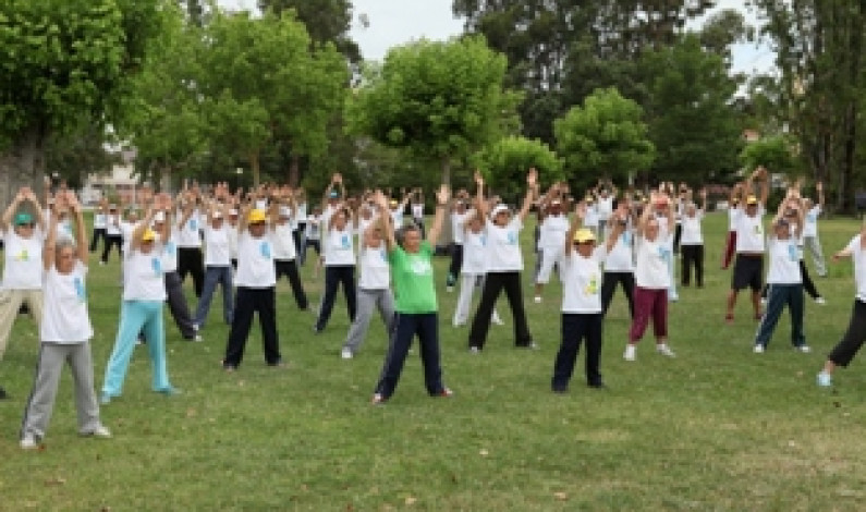 “Todos no Parque” de Alhos Vedros, Moita e Baixa da Banheira “Todos no Parque” de Alhos Vedros, Moita e Baixa da Banheira