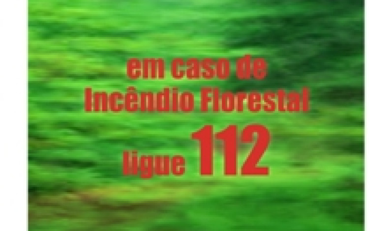 Não brinque com o fogo… Ele não sabe brincar! A Defesa da Floresta começa em Si Não brinque com o fogo… Ele não sabe brincar! A Defesa da Floresta começa em Si