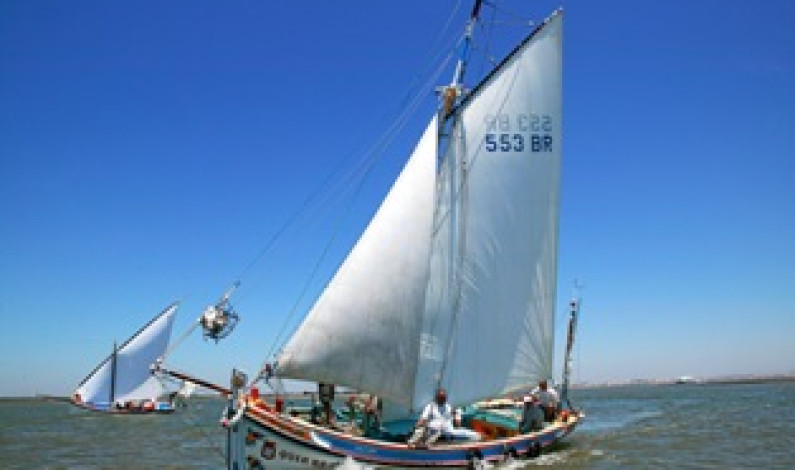 XI Regata Moita – Vila Franca de Xira – Moita XI Regata Moita – Vila Franca de Xira – Moita