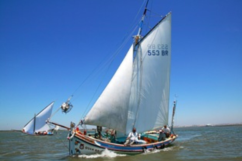XI Regata Moita – Vila Franca de Xira – Moita XI Regata Moita – Vila Franca de Xira – Moita